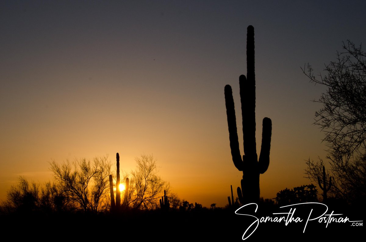 SamanthaPostman's tweet image. &quot;Dream large, stand tall, and open your mind, for you are the conduit for a story that is yet to be told.&quot; - @davidpowersking

📍Phoeniz, AZ, USA
📸 @SamanthaPostman 
#powerofperspective #photography