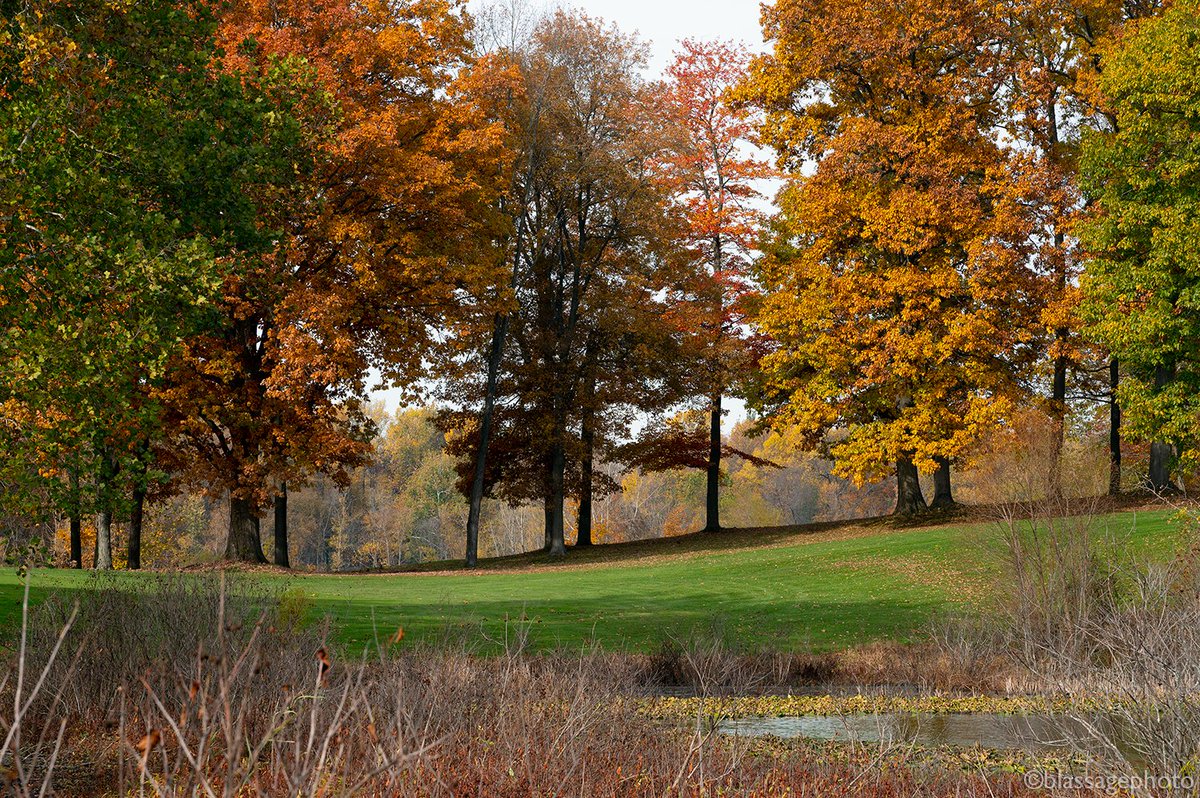 SJCKettleLakes's tweet photo. Elbel Park and Mud Lake are showing off their fall colors. It's a great time to get out there for a hike! @GolfElbel @sbvpa #StJosephCoKettleLakesCorridor https://t.co/LkzYlU2DZc