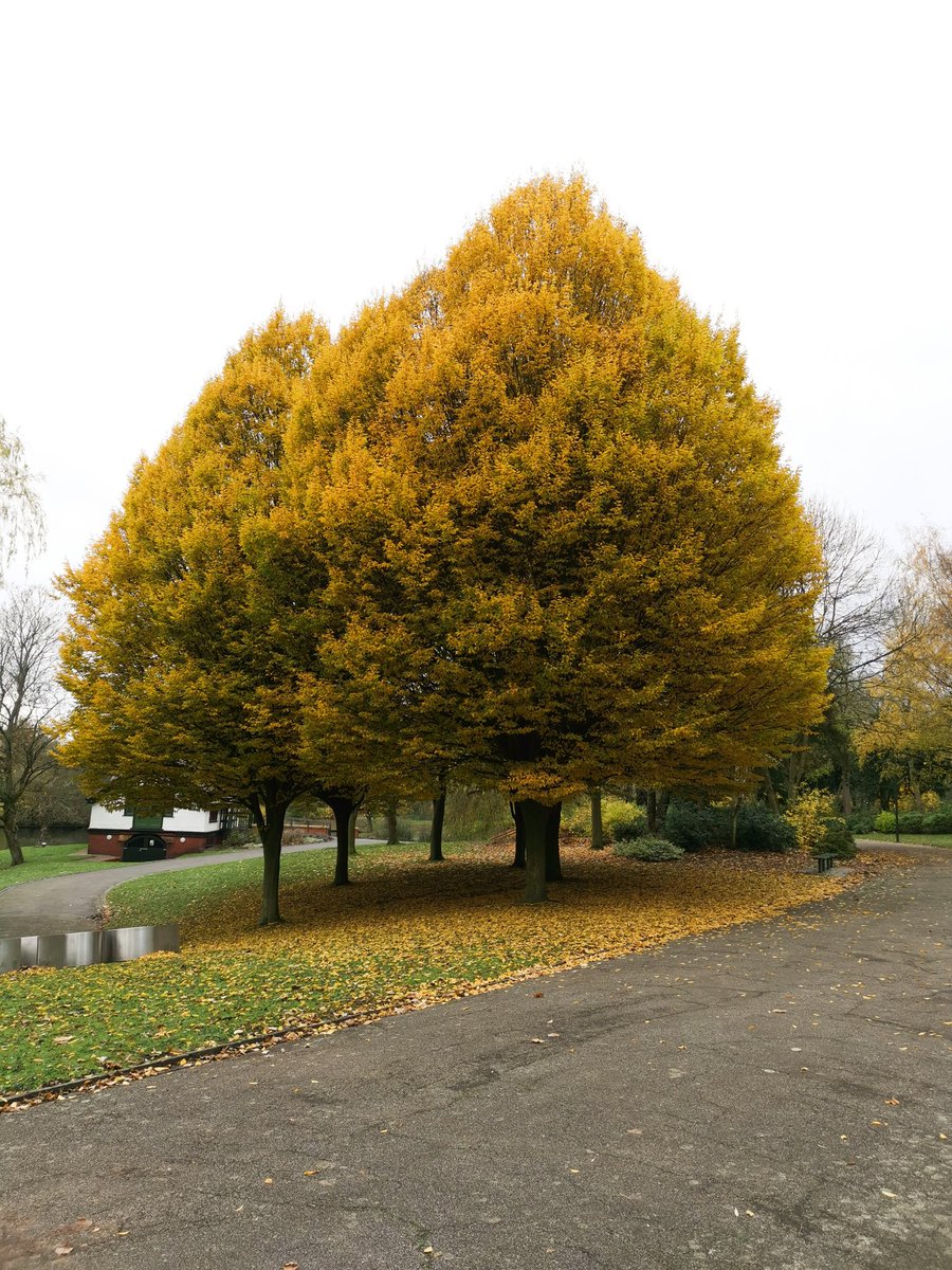 Chris Wayman tweet media