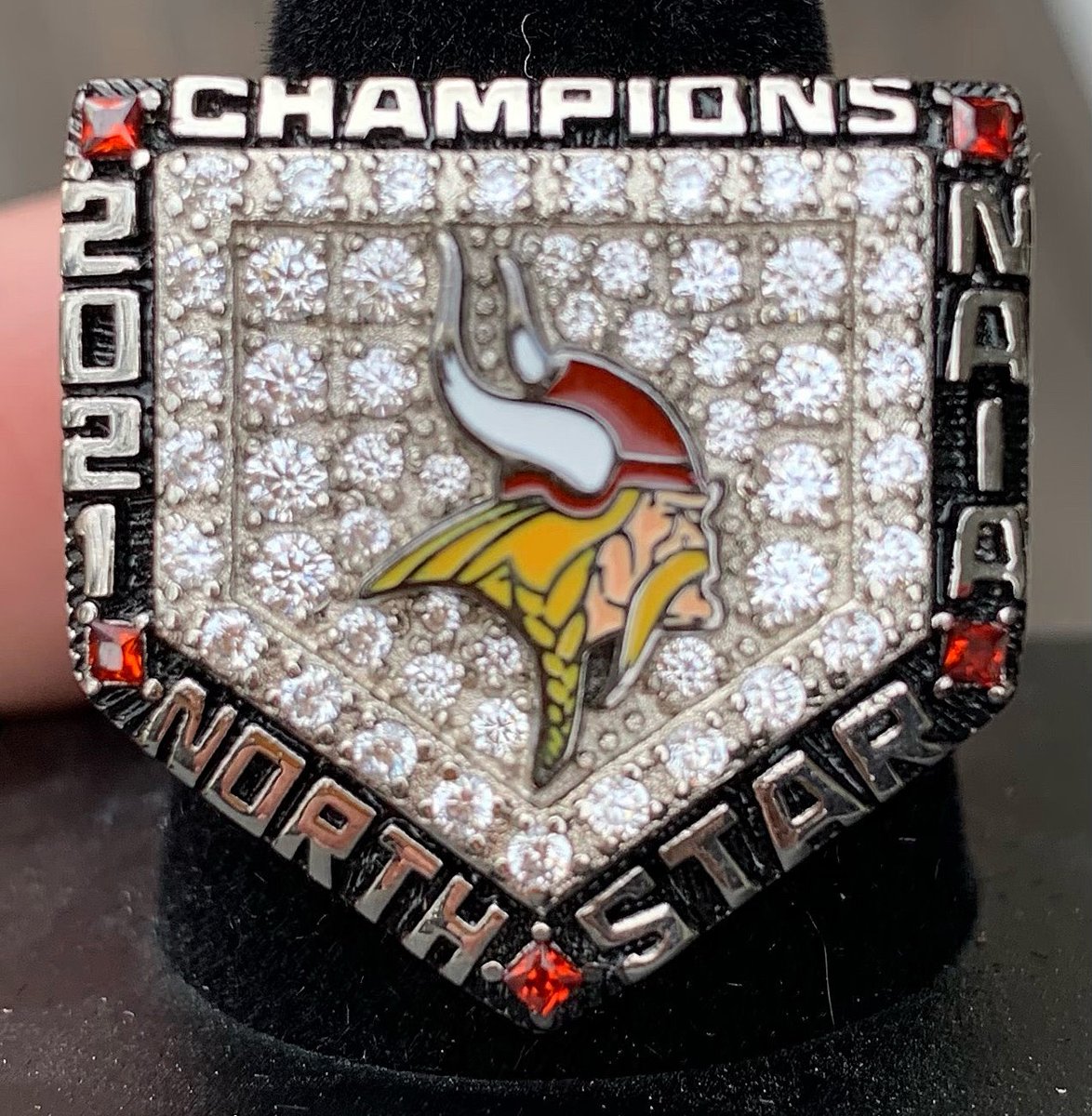 VCSUVikings's tweet photo. We recognized the 2021 North Star Softball Regular Season Champs on Wednesday night! The quest for back-to-back-to-back titles has already started! First game in just 7️8 days. #Feb4 #VCSUVikingPride https://t.co/HdvMJjw1Vd