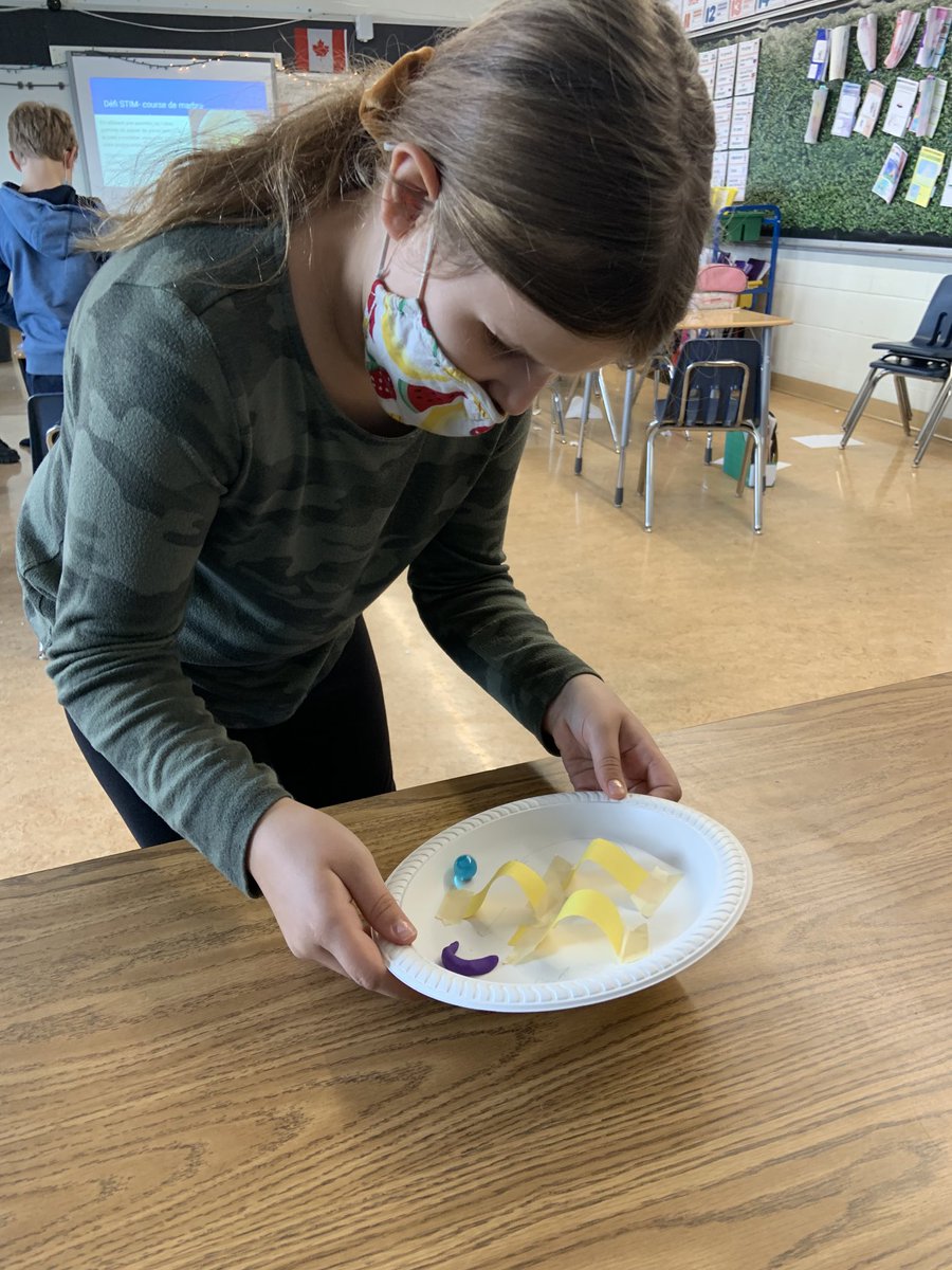 Marble mazes are a hit#coursedemarbre