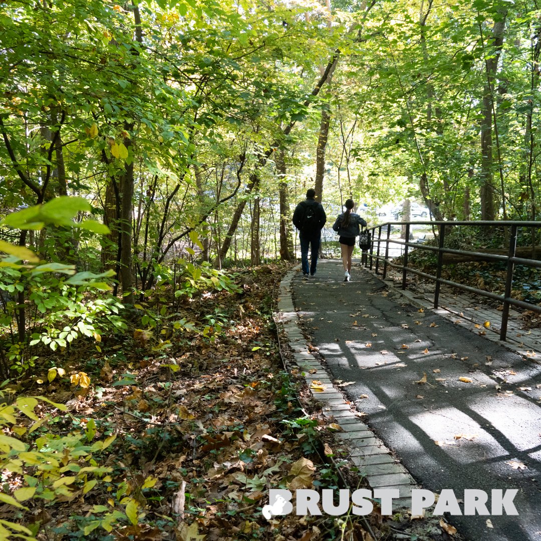 BrustParkBronx's tweet photo. Lovers love Brust Park! ā¤ļø
#brustpark #bronx #nature #park #walk #garden #trees #urban #beautiful #naturephoto #instabest https://t.co/jGhfskAwTu