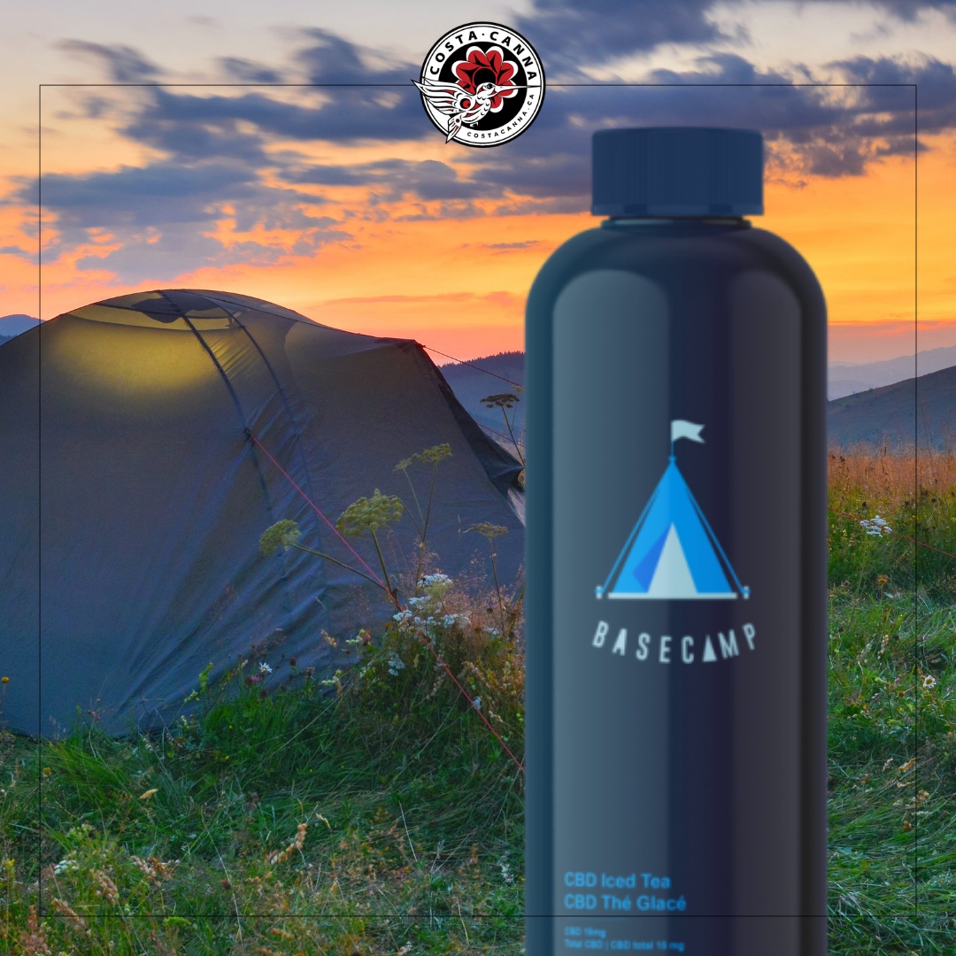 costa_canna's tweet photo. Pour over some ice with a lemon wedge and you have yourself a refreshing THC bevy to keep summer alive! Ask your budtender about @basecamptosummit flavours 🍋☀😎 @thevalenscompany
#basecamptosummit #valenscompany #costacanna #costacannavanisle #vanisle #islandlife #supportlo... https://t.co/ZhDKqWuyZF