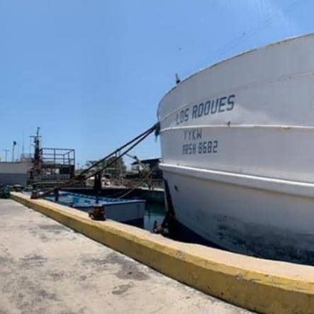 PescalbaOficial's tweet photo. Lee el Comunicado de #Pescalba, ente adscrito al @Minpescave2 en la página web de nuestra empresa socialista.

https://t.co/DckYFL4vnJ

#VenezuelaComePescado
#ViviendaSoluciónEnRevolución https://t.co/BKfYXqLRVz