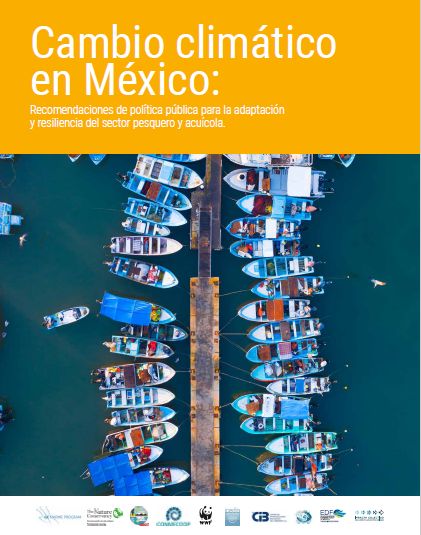 RafagaOrtiz's tweet photo. Ya está disponible el documento de #CambioClimático en México -  sector pesquero &amp; acuícola -  producto de un gran trabajo colaborativo @EDF_deMexico @icpmx1 
👏

Links a documentos:
Documento completo: https://t.co/82we1E0kFc
Resumen Ejecutivo: https://t.co/RXAREGOjZL https://t.co/NdmCtRNxG6