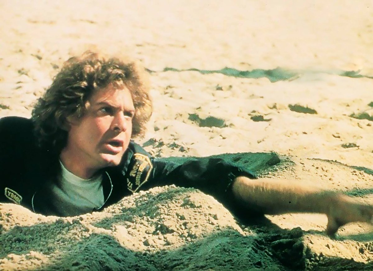 EugWSerra's tweet photo. On January 23, 1981, Blood Beach was released. #BloodBeach #DavidHuffman
#MariannaHill #BurtYoung
#JohnSaxon https://t.co/msdiTfGd5d
