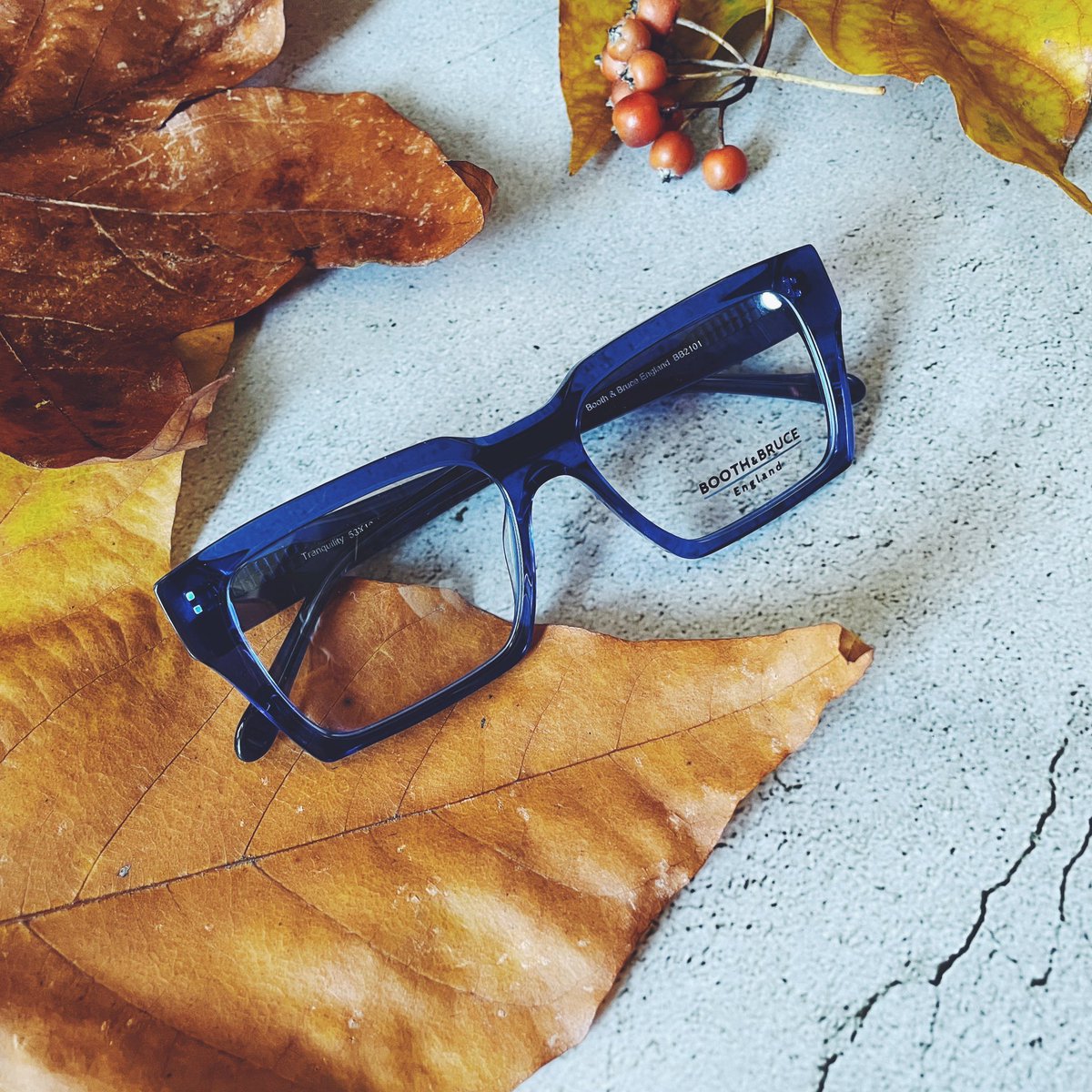 𝗖𝗼𝗺𝗽𝗹𝗲𝗺𝗲𝗻𝘁𝗮𝗿𝘆 𝗰𝗼𝗹𝗼𝘂𝗿𝘀! 🧡💙 Autumn is the perfect time for this colour frame! Gorgeous! See this and our newest collection at <a href="/100Optical/">100% Optical</a> in January (link in bio)
👓 : BB2101 in Tranquility #autumnvibes
#boothandbruce