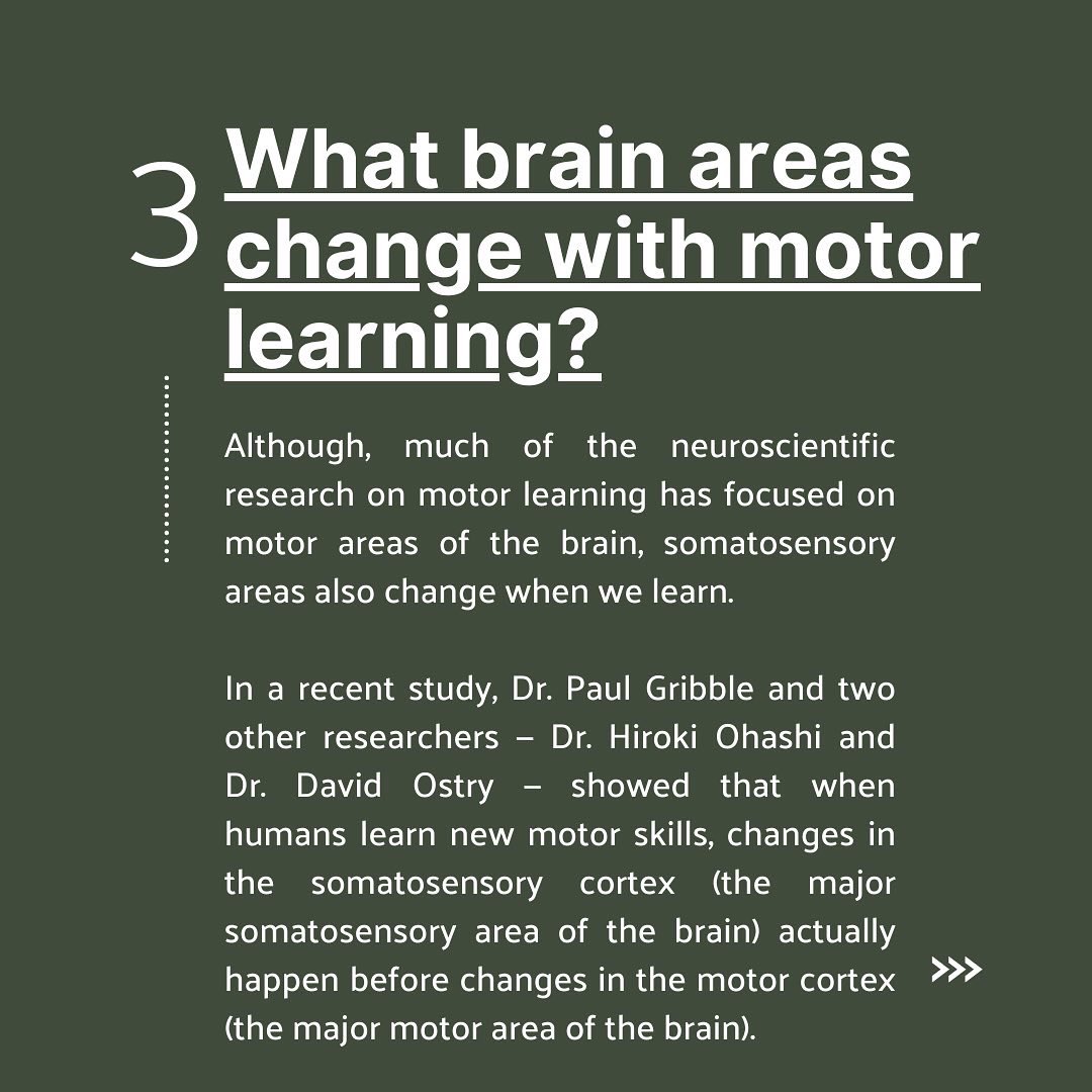 The Dorsal Column What Is Motor Learning And What Brain Areas Are Involved In It Research By Paulgribble In Westernu Neuroscience Science Sciencetwitter Scicomm Lndont T Co Xqbzjfkvrk Twitter