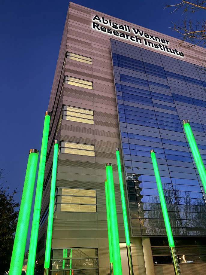 CIRPatNCH's tweet photo. We lit our lightsticks green for National Injury Prevention Day! #BeInjuryFree @nationwidekids https://t.co/nqzem5qedU