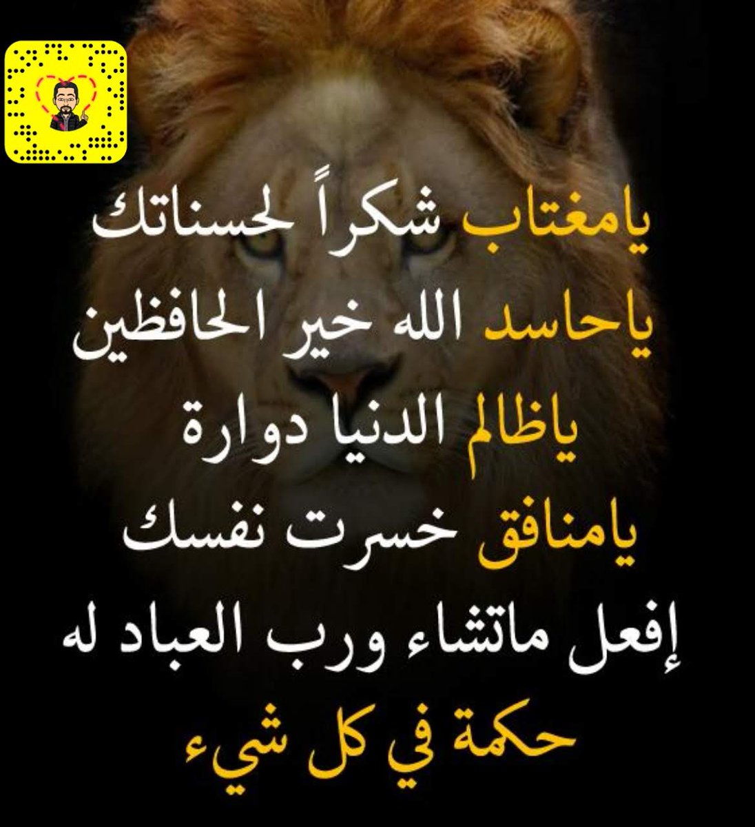 فائدالصليحي tweet media