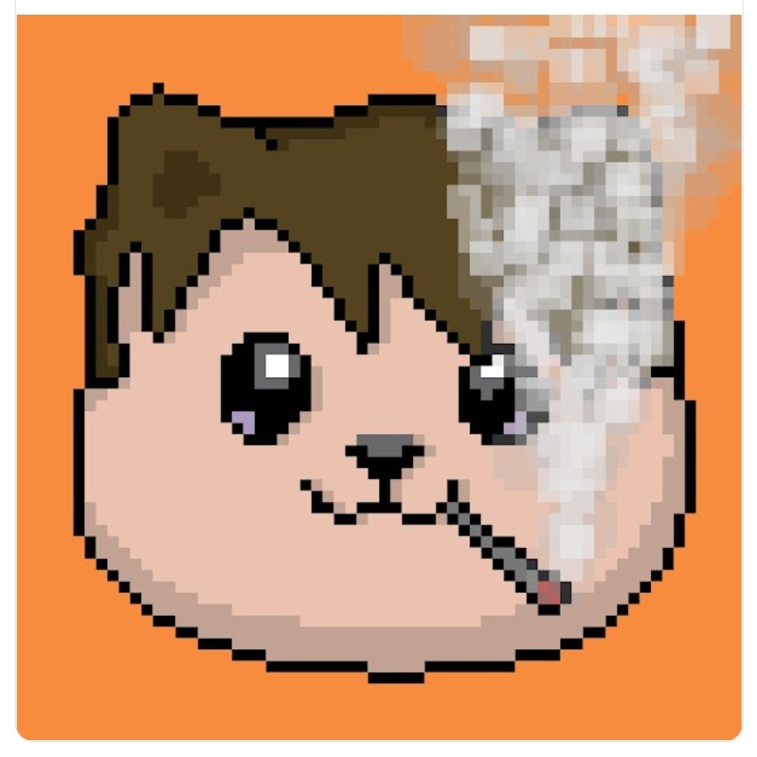 BlkBarbossa's tweet photo. #NewProfilePic https://t.co/3jWRkcf9XN