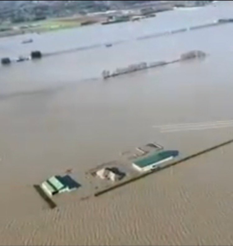 Bert Bos tweet media