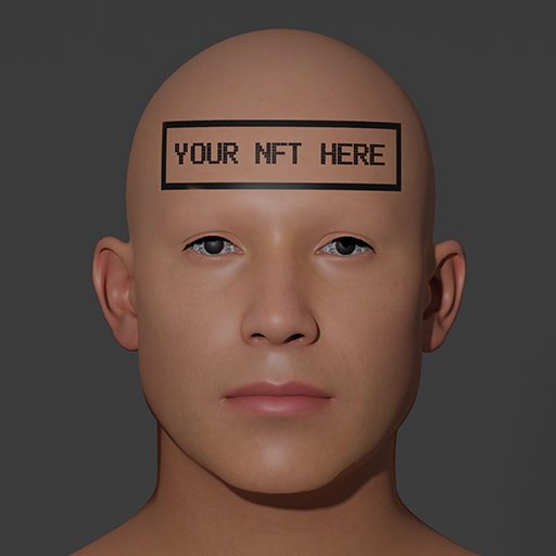 The Human NFT Project tweet media