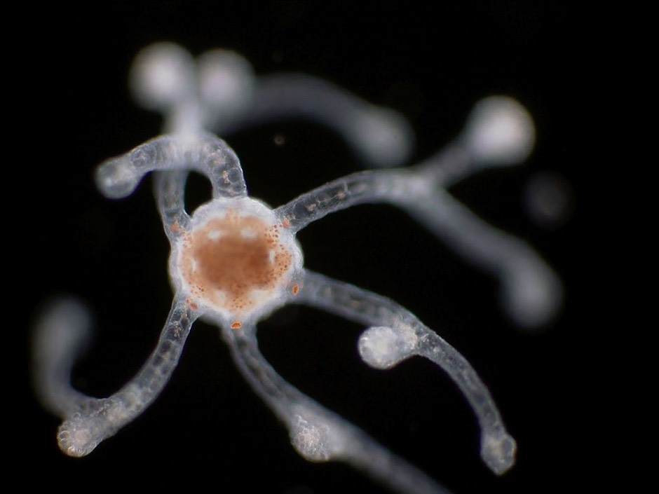 DPReview tweet media