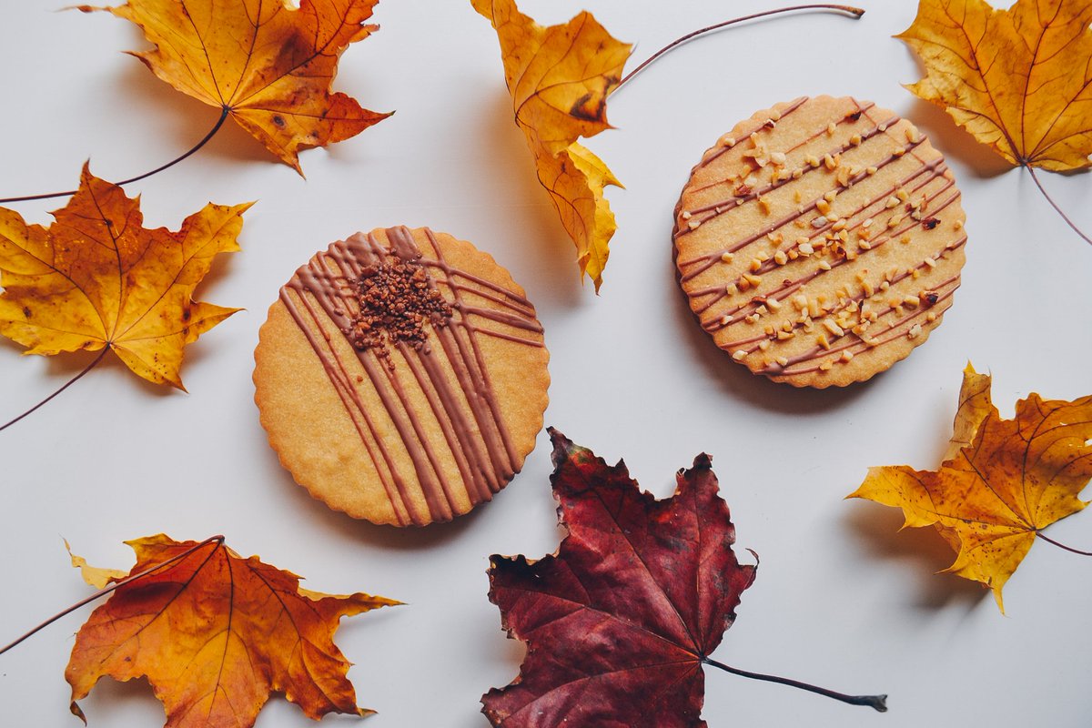 Big cookies, chai latte and blankets is how you get through November.