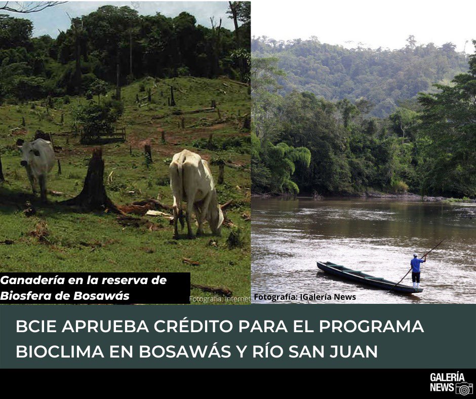 galerianewsnica's tweet image. Deuda interna: oxigenación de Ortega.

“Contrato de préstamo” suscrito entre el BCIE y Nicaragua para financiar proyecto #BioClima

El costo total es de 116 millones de dólares, sin embargo, el BCIE aprobó 108 millones, y los 8 millones restantes serán adquiridos vía donaciones
