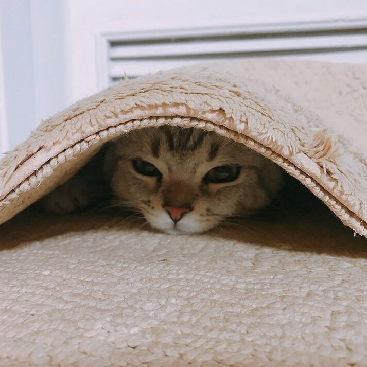 ไม่เล่นกับใครแล้วนะ จะไปนอน