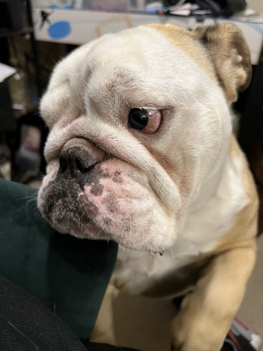 Richard Few tweet media