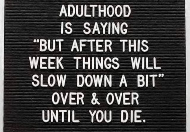 Introducing my life 😂👏