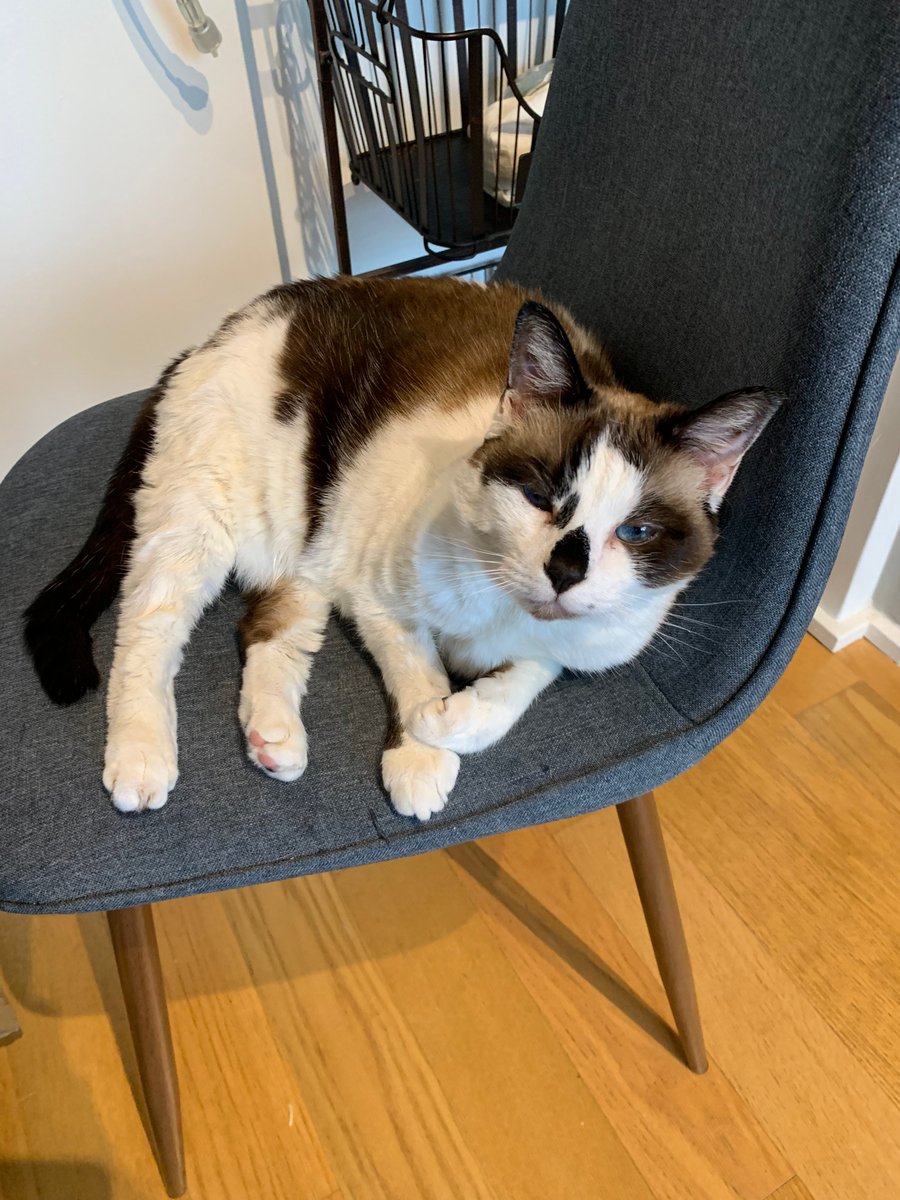 John Russo tweet media