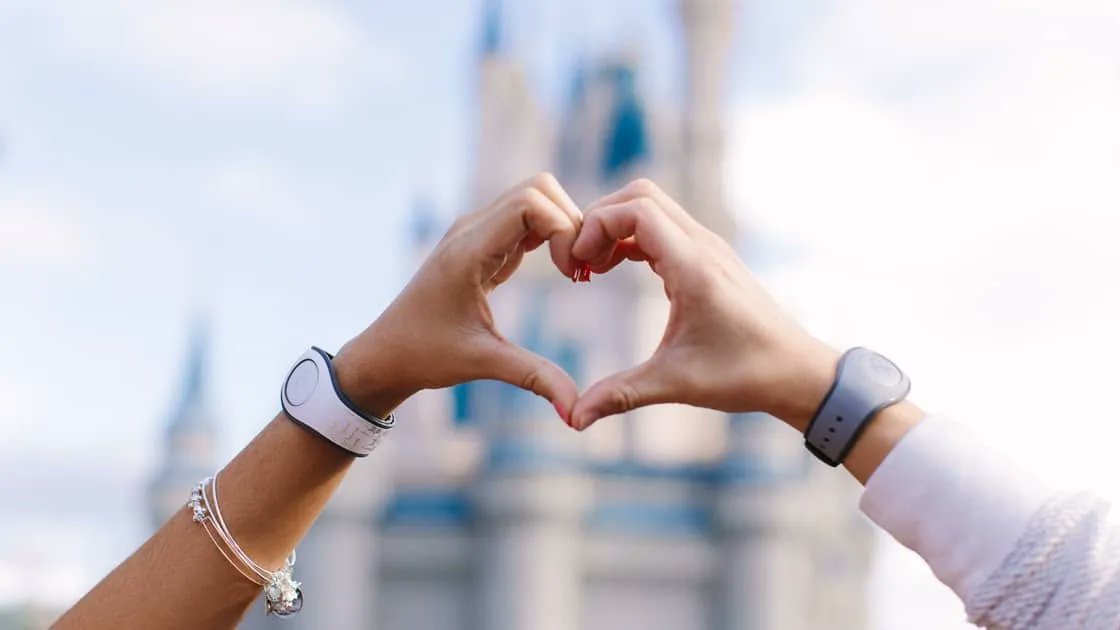 InsideTheMagic's tweet photo. The Need for MagicBands Dwindles With Disney’s Newest Update
https://t.co/XV2KTX32U6
#DisneyParks #DisneyWorld #magicbands #magicmobile https://t.co/xIDtye7ViB