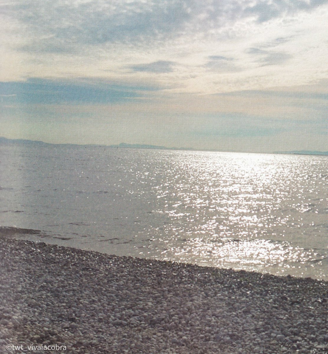 🤍️️ tweet media