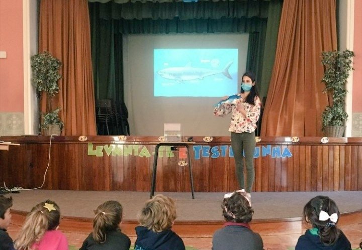 rescue_shark's tweet photo. Teaching the young minds about the importance of sharks

#sharksatschool #teachingaboutsharks #sharklesson #schoolvisit #sharkconservation #savingsharks #sharkrescue #sharks #elasmobranchs #eggs #tubarões #ovosdetubarão #conservacaodetubaroes #salvarostubaroes https://t.co/BKyHD2evfy