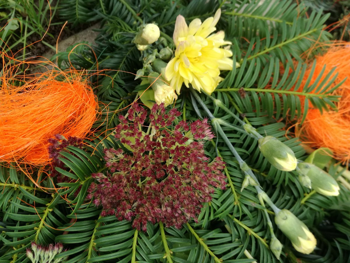 kristallnaach's tweet photo. Wenn Nachbar's #Eibe zu mir wächst kann ich auch damit basteln!
🌲 #Gesteck 😇 #Gärtchen21 🌲 https://t.co/EqSrOQN9Ul