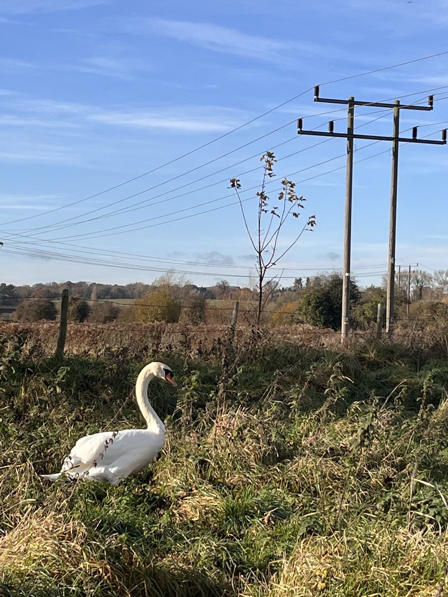 Murphlemurph's tweet photo. Final #NatureConnections session until the springtime. It’s been very inspiring witnessing natures impact on those who attended.
#ProbationOT #IIRMS #Nature #OccupationalTherapy https://t.co/jbnRKTqRHM