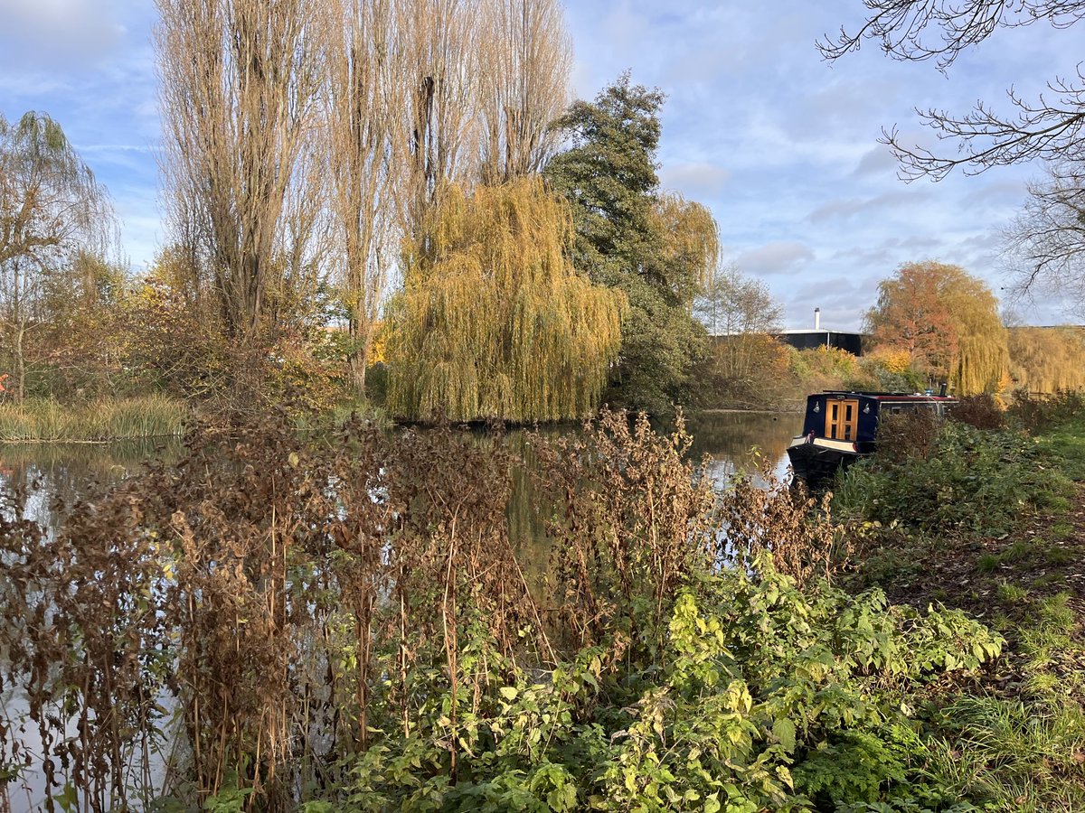 Murphlemurph's tweet photo. Final #NatureConnections session until the springtime. It’s been very inspiring witnessing natures impact on those who attended.
#ProbationOT #IIRMS #Nature #OccupationalTherapy https://t.co/jbnRKTqRHM