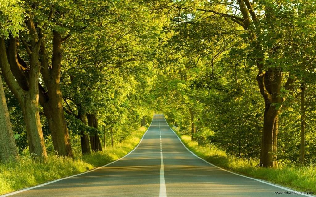 faisel_fs tweet picture