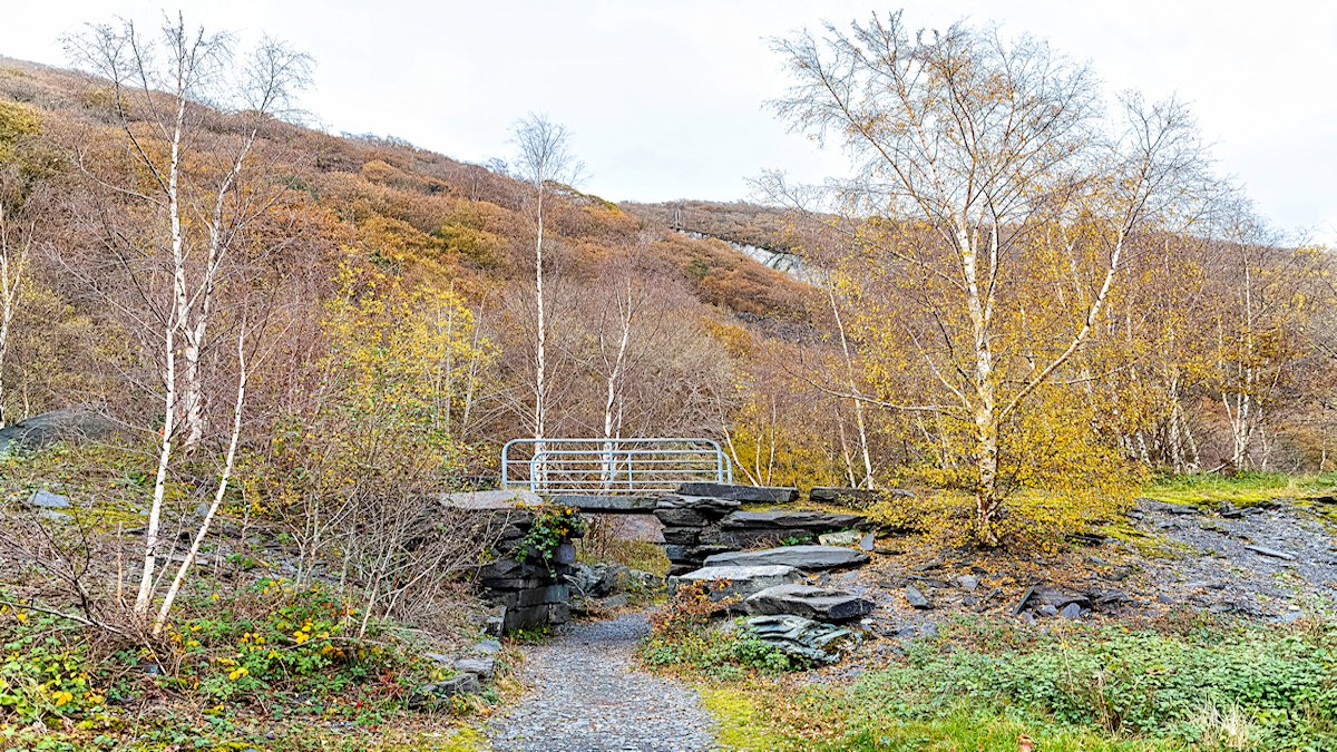 BJRoberts's tweet photo. It was a case of, "You take the high road, and I'll take the low road," at Llanberis's beautiful Parc Padarn yesterday. @Ruth_ITV @kelseyredmore @ItsYourWales @northwalescom @AllThingsCymru @OurWelshLife @NWalesSocial #Llanberis #LlynPadarn #ParcPadarn #Autumn #November #Wales https://t.co/5Fm19w8sOy