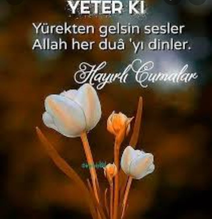 Turgut Yırtıcı (@turgutyrtc3) on Twitter photo 