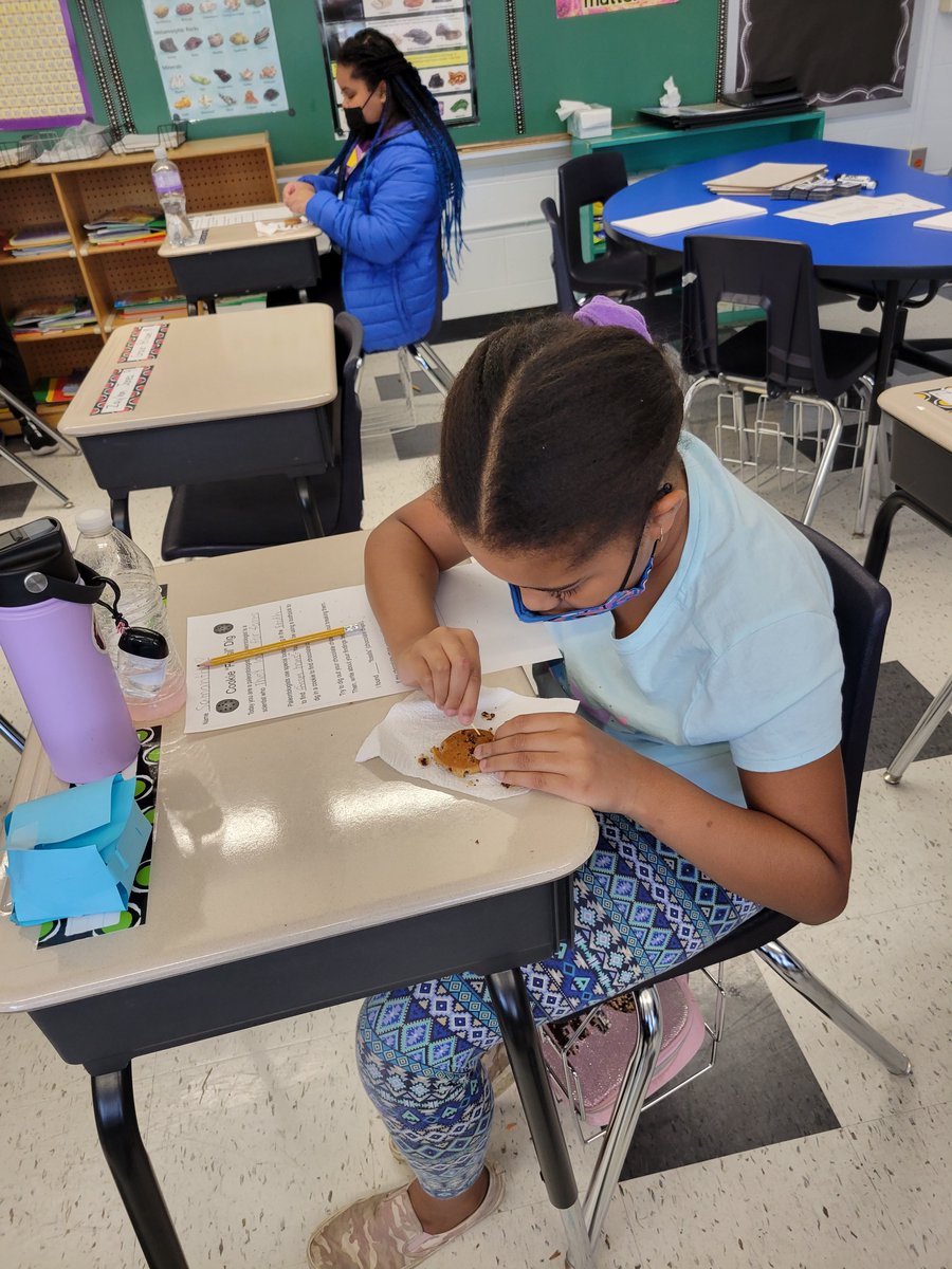 MrsCochraneSRS's tweet photo. Digging for fossils! Fun in science class! @TFSPantherPride https://t.co/Rl668U5rbb
