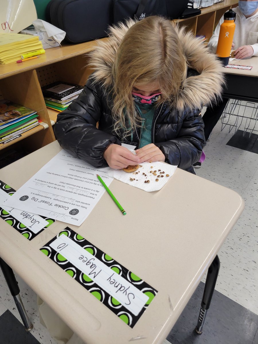 MrsCochraneSRS's tweet photo. Digging for fossils! Fun in science class! @TFSPantherPride https://t.co/Rl668U5rbb