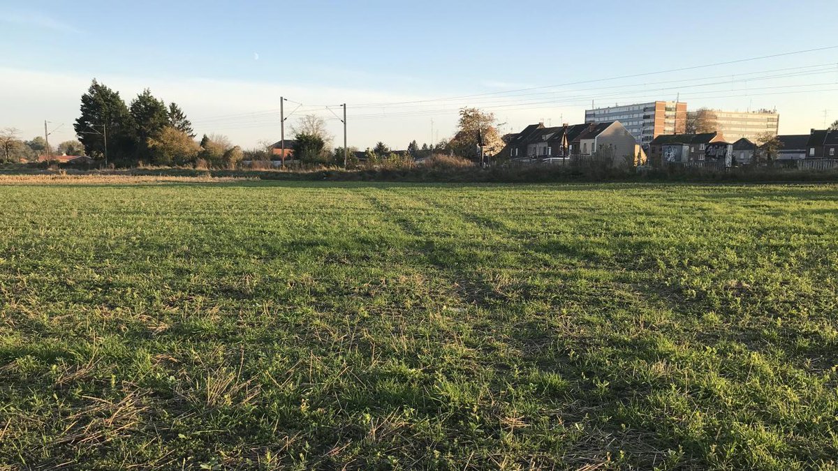VDNValenciennes's tweet photo. Beuvrages: déception pour deux frères qui doivent laisser des terres au Département https://t.co/vh1H9hGNaM #Valenciennes #EnginDeChantier https://t.co/jMIQRLjVBE