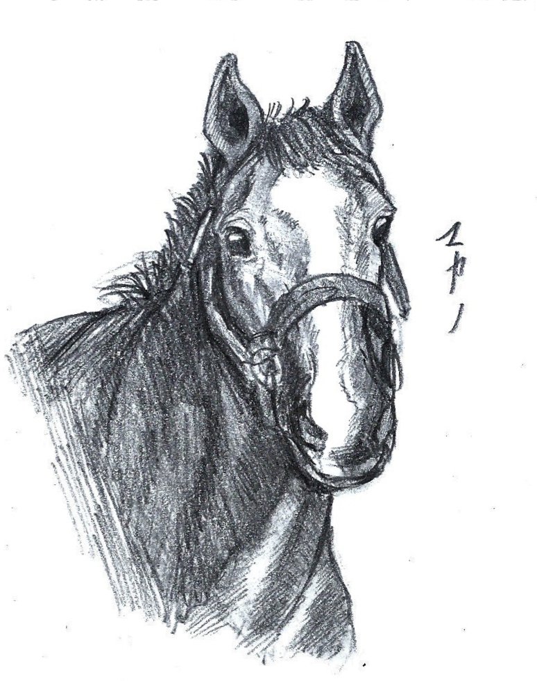 過去絵の馬 