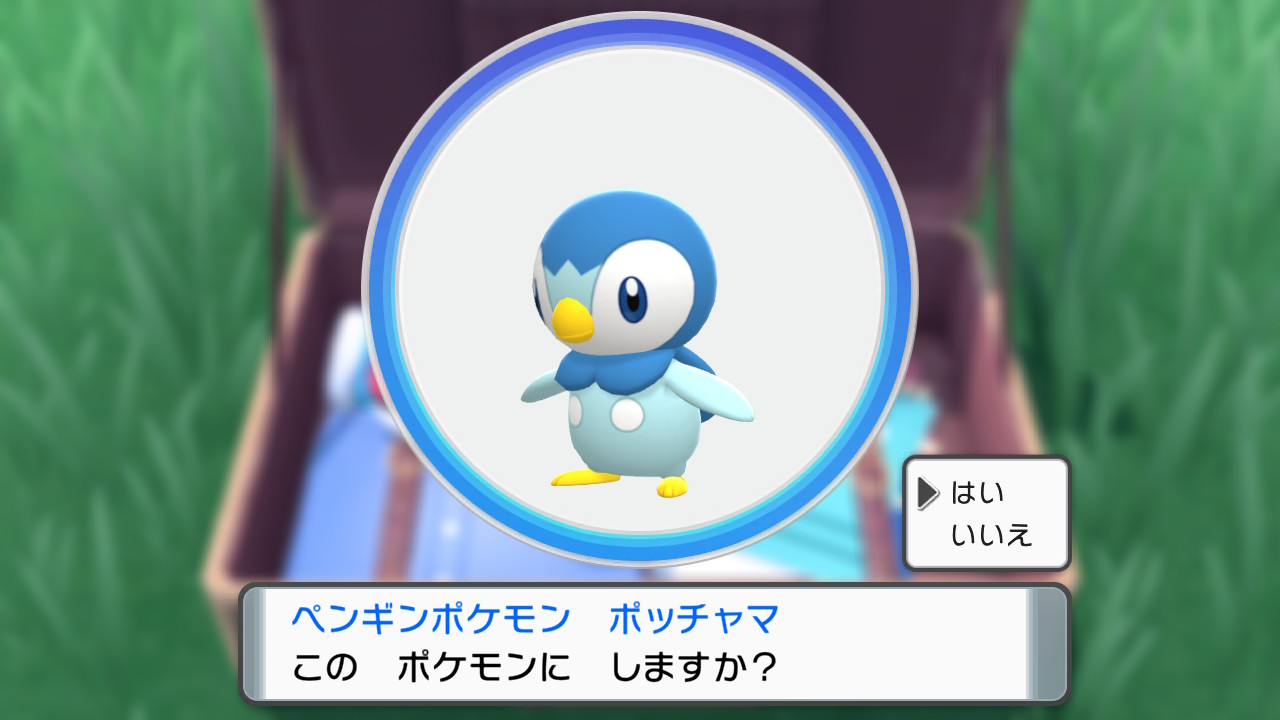 ペンギン コケホドリ Penguin2142 Twitter