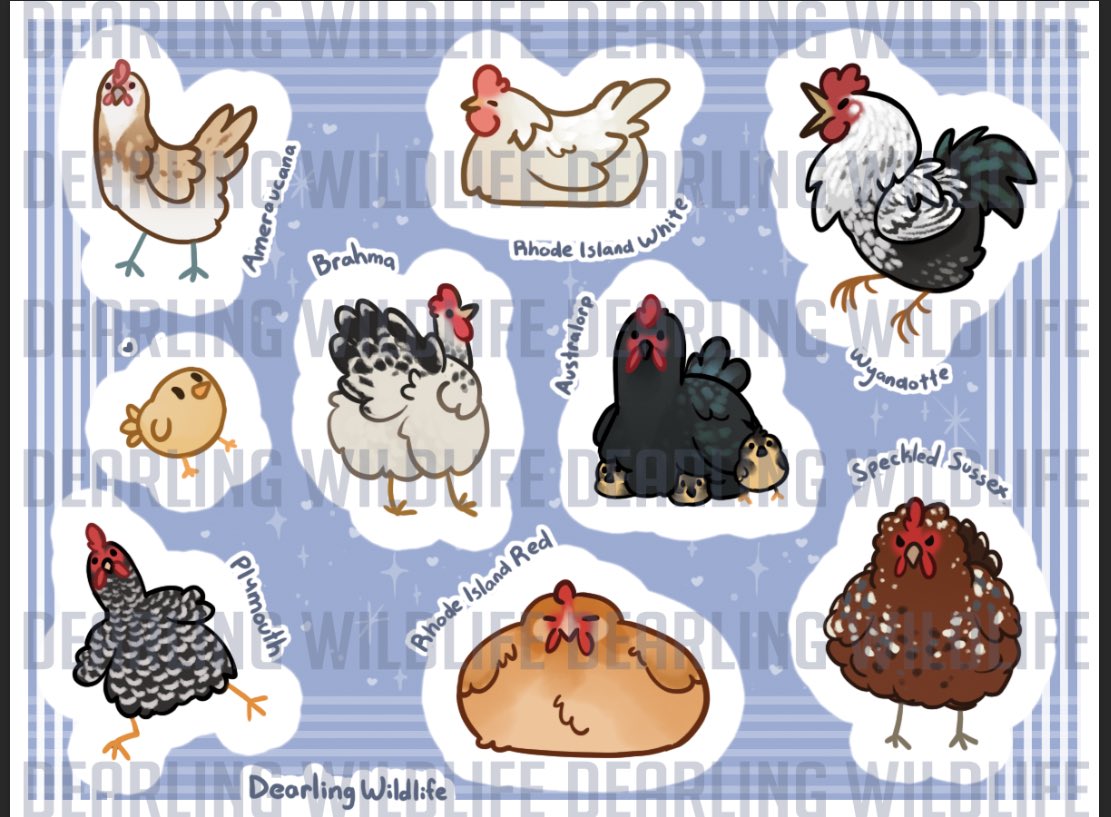 Deertush's tweet photo. I’m in a chicken craze and these stickers are 100% just because I love chickens so much ;; https://t.co/jhYFxuDzVU