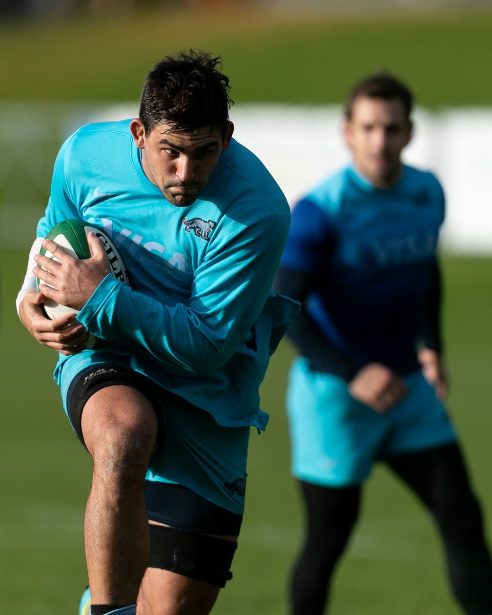 Los Pumas tweet media