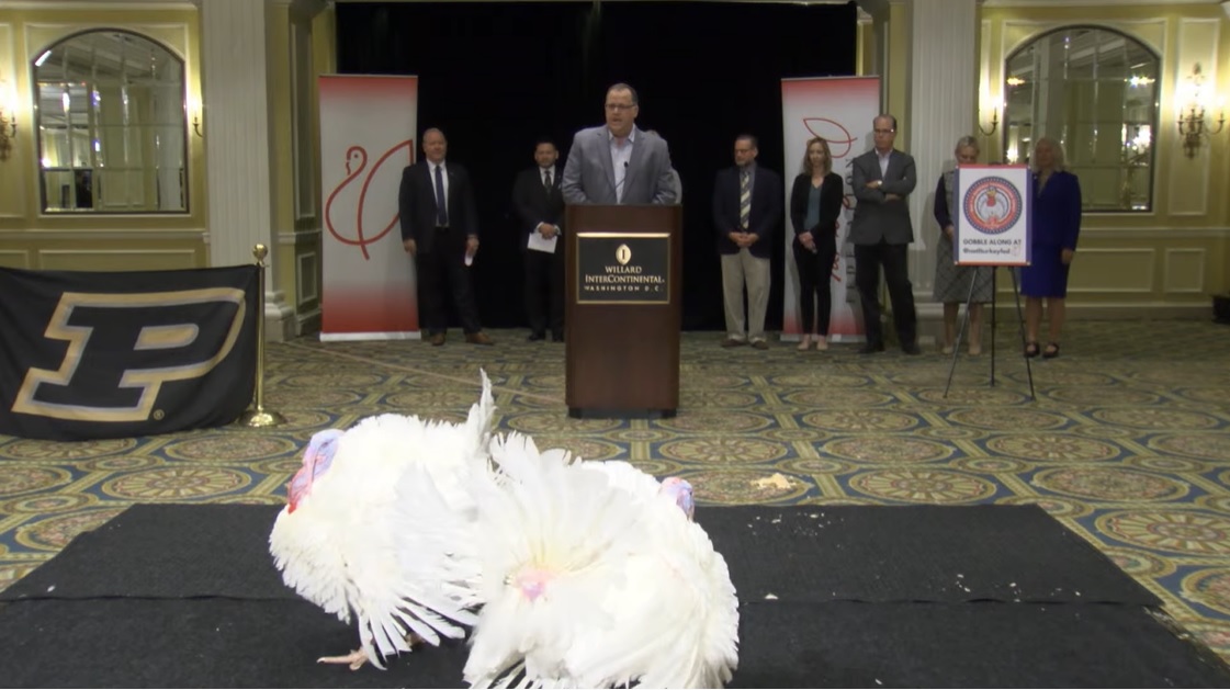 Introducing Peanut Butter and Jelly! 🦃🦃 The turkeys will be pardoned by the <a href="/POTUS/">President Donald J. Trump</a> at the <a href="/WhiteHouse/">The White House</a> tomorrow, and then they will make their way to #PurdueUniversity. Gobble, gobble and Boiler Up!