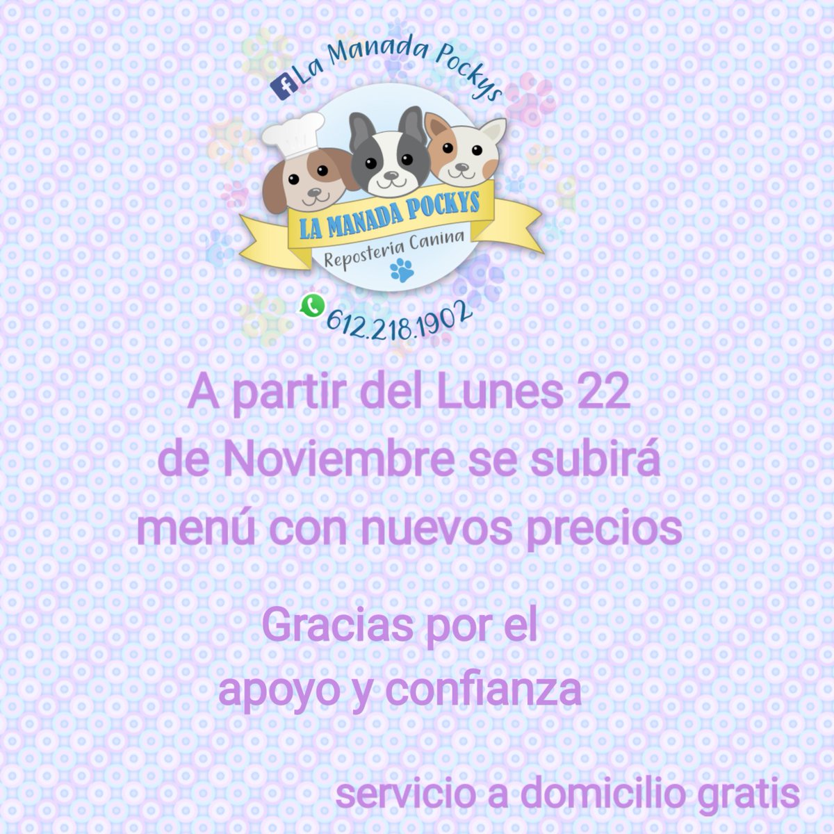 Manada_Pockys's tweet photo. Buenos días a todos nuestros clientes!!!  Gracias a todos por el apoyo y confianza a este proyecto en crecimiento! 🙏🐶🐾🐕 https://t.co/EmKwcCzPly