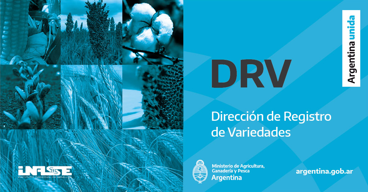 inaseargentina's tweet photo. ✅ Nuestros técnicos visitan los establecimientos donde se originan las nuevas variedades para observar y auditar el proceso del mantenimiento de la pureza varietal. 

#Variedades #Pureza #PuerezaVarietal #Novedad #Diferenciabilidad #Estabilidad #Homogeneidad https://t.co/WRCN7tqyba