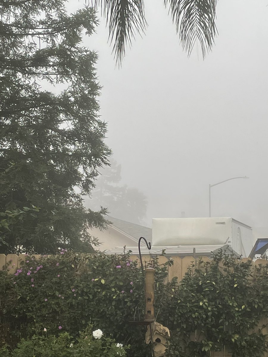 RebeccaColbert_'s tweet photo. Good morning. Looks like the fog is back. https://t.co/29IqLNxYdn