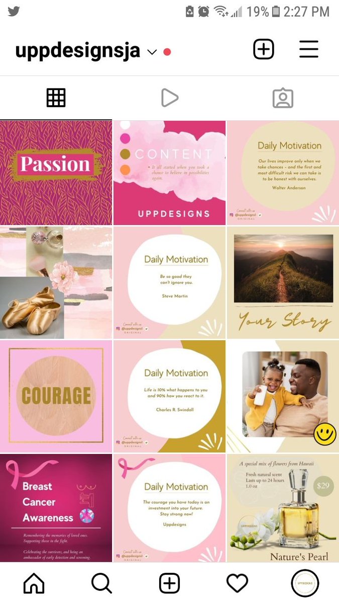 UPPDESIGNS1's tweet image. This is my Instagram page and for the month of #October - my color challenge was pink along with my brand colors. November is 🍊 Can you guess December 🤔

#brandtemplates #colorpalette #contentcreators #socialmediacontentcreator #originaldesigns #uppdesigns