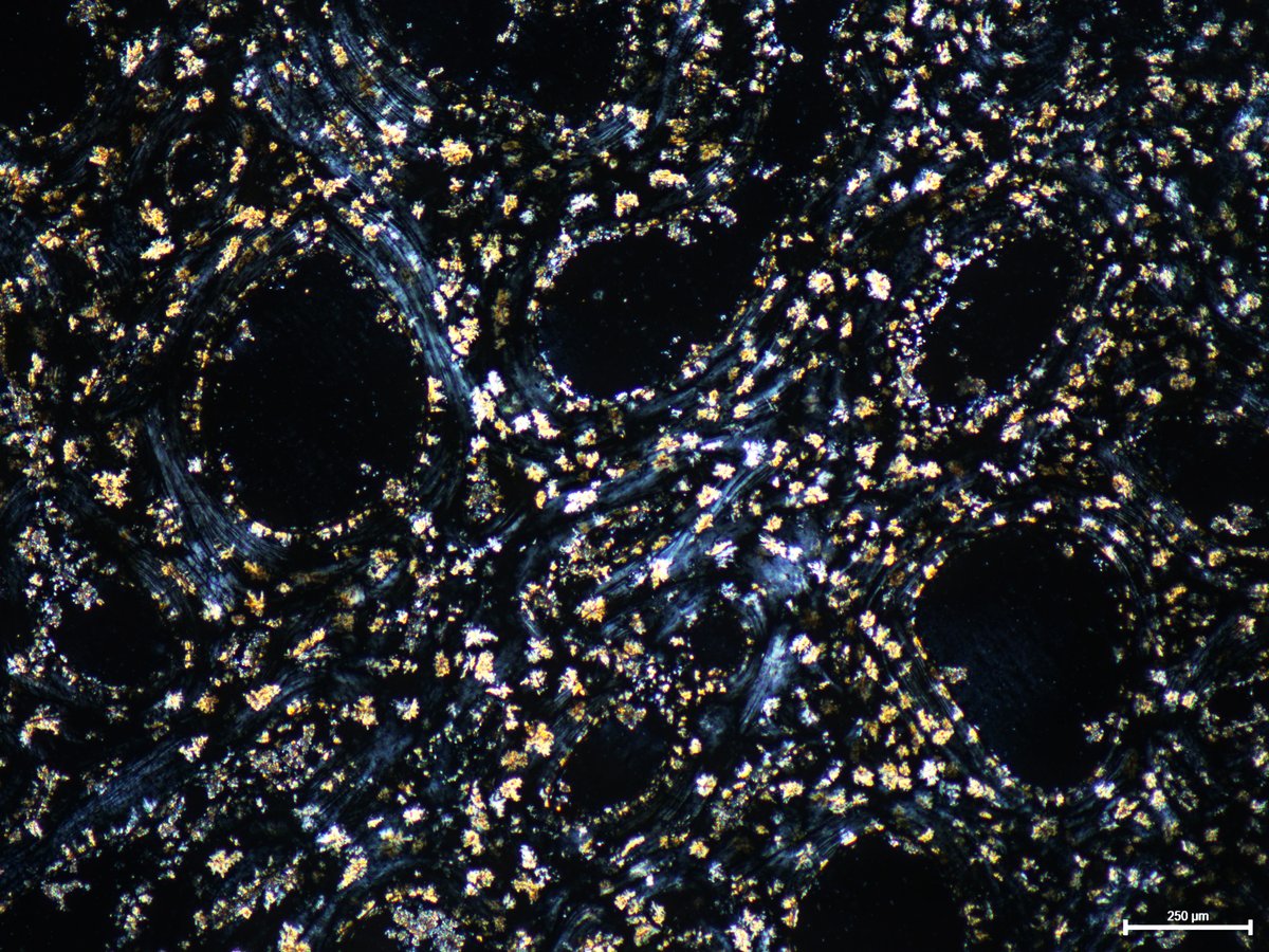 Irini Sifogeorgaki tweet media