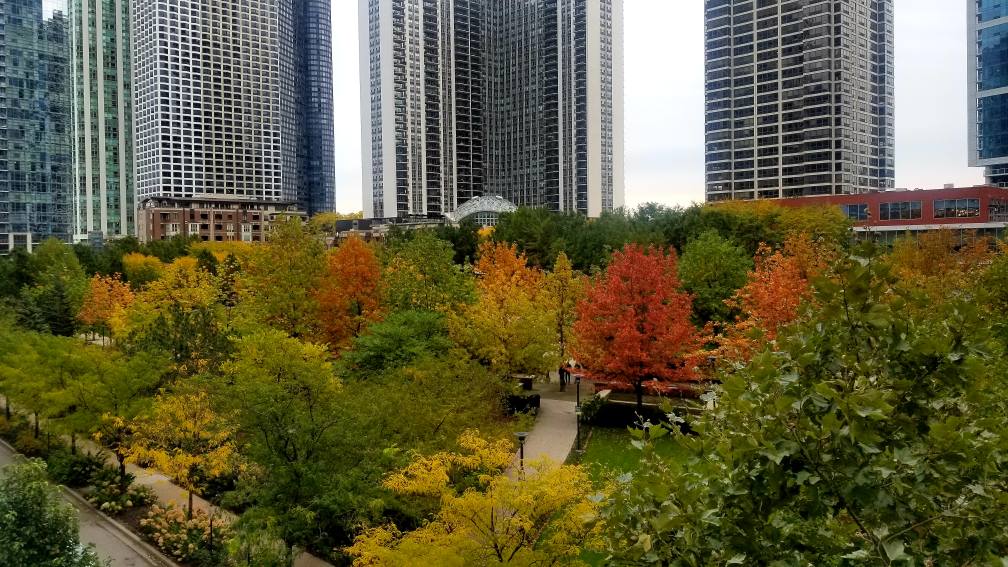 ShorehamChicago's tweet photo. The Lakeshore East Park is beautiful not matter which season we are in. If you are looking to have a space this perfect right outside your door, schedule a tour with our leasing team today! #ForShore #ShorehamChicago #LakeshoreEast https://t.co/5z2NABWhfq