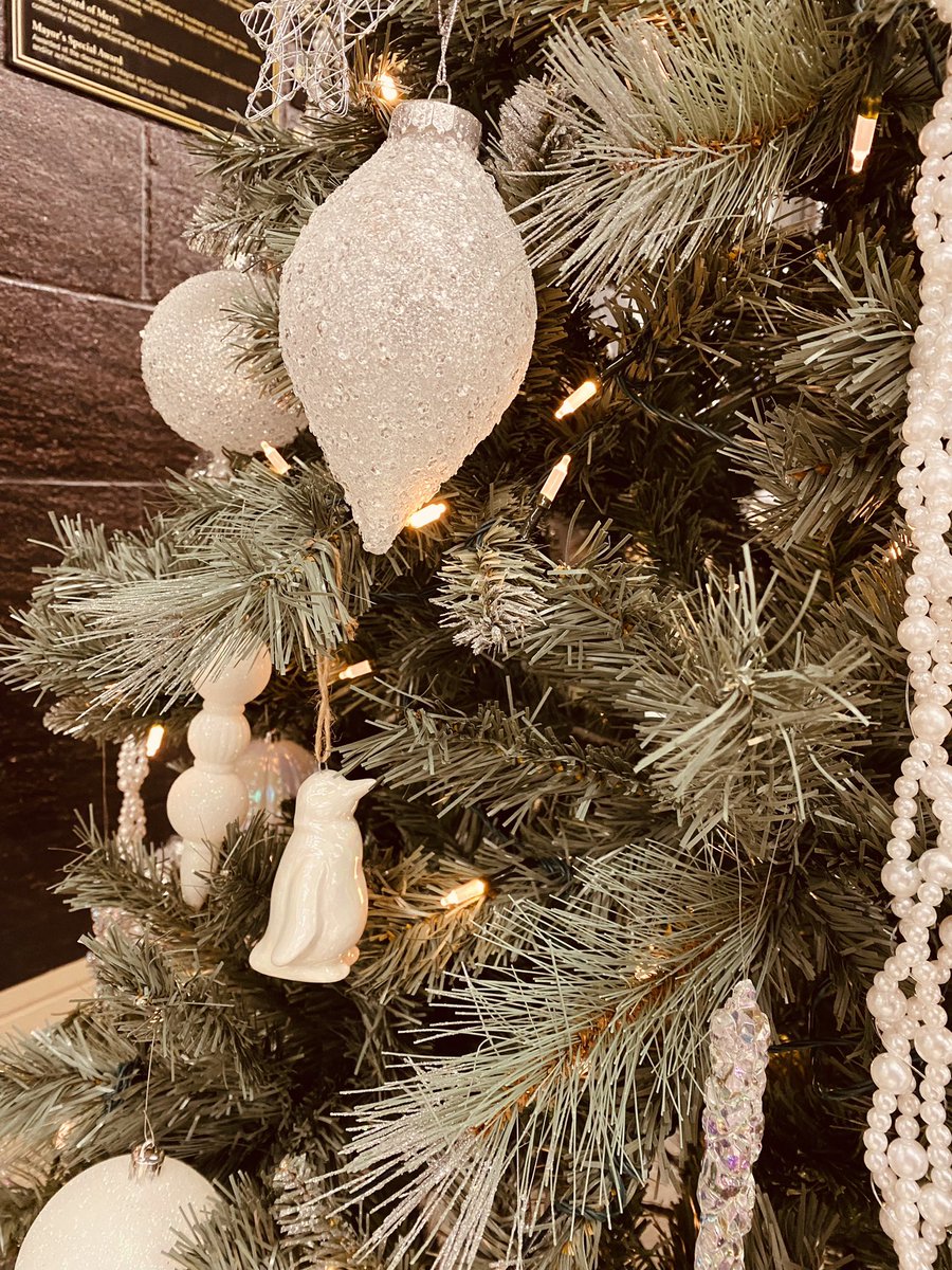 Apex Energy Sutions 2022 Holiday Christmas Apex Utilities Inc. (@Aui_Alberta) / Twitter