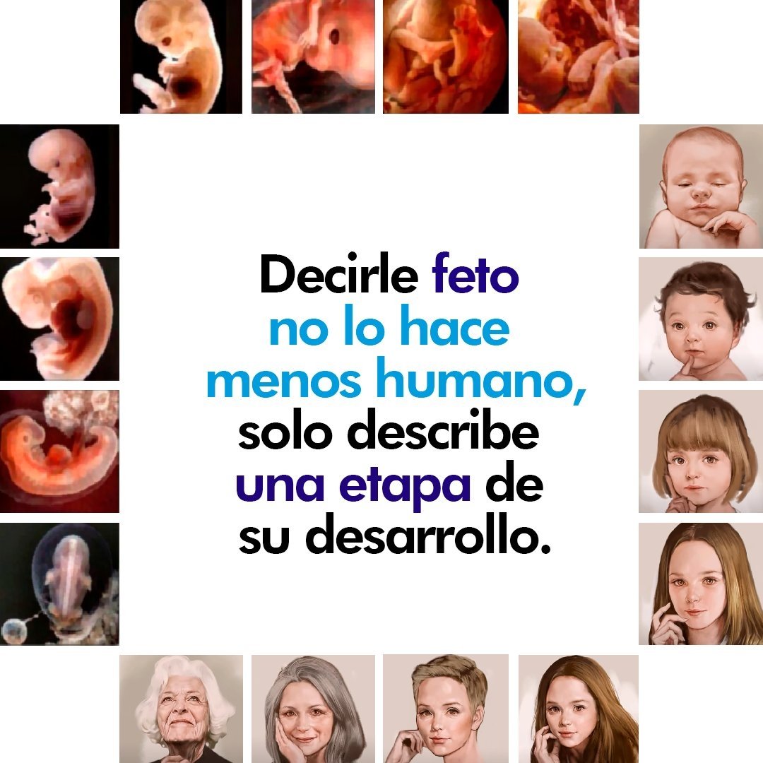 MALAGAVIVE.COM tweet media