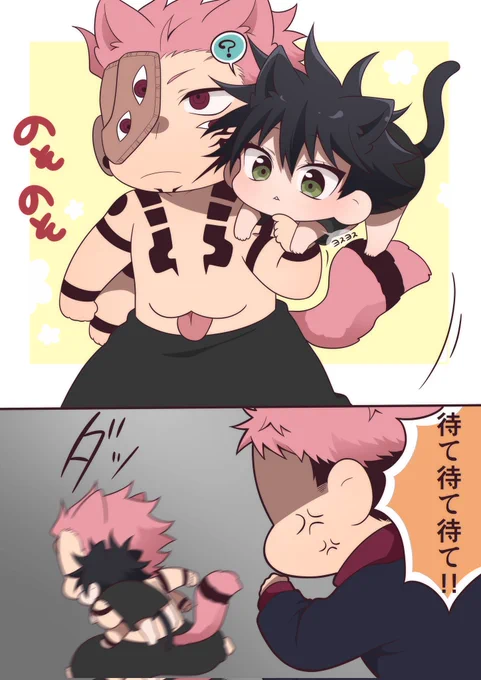 ドナドナねこ恵...😸
宿伏 